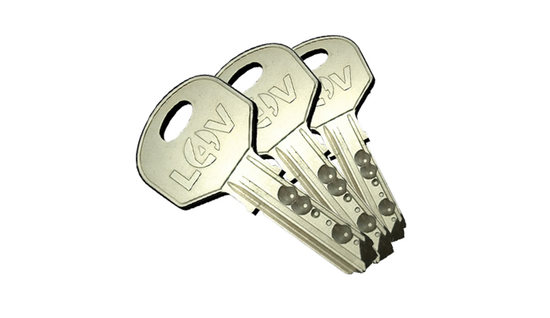 3 x Replacement Keys For Locks 4 Vans Slamlocks -